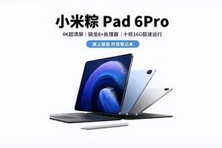 开云全站app官方版下载